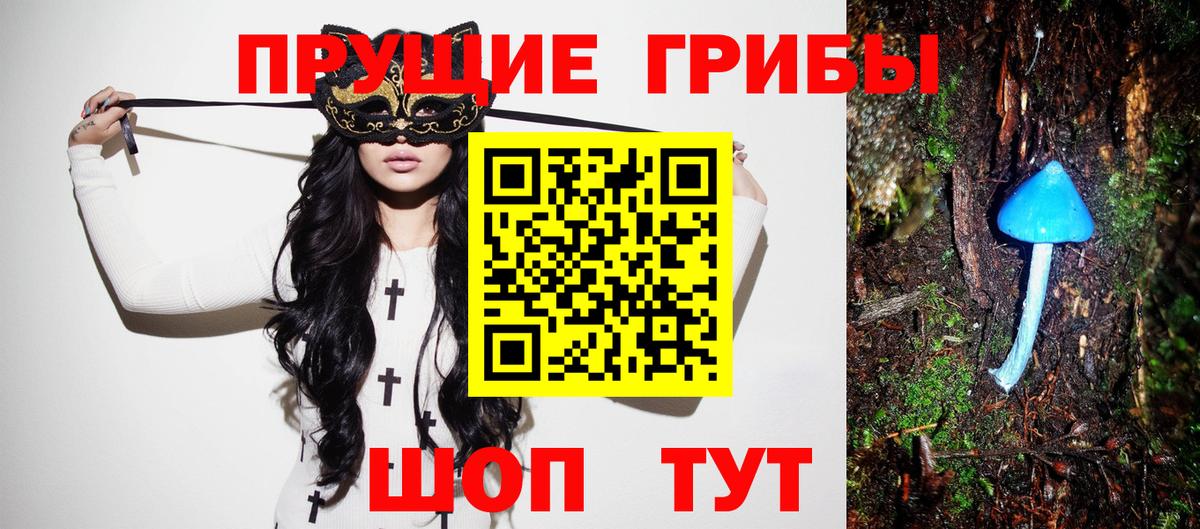 Нальчик  Галлюциногенные грибы GOLDEN TEACHER  Вход с VPN 